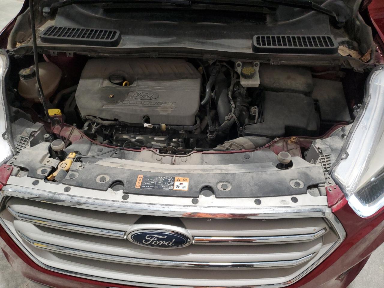 Ford Escape Sel Image 12