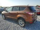 Ford Escape Se Image 6