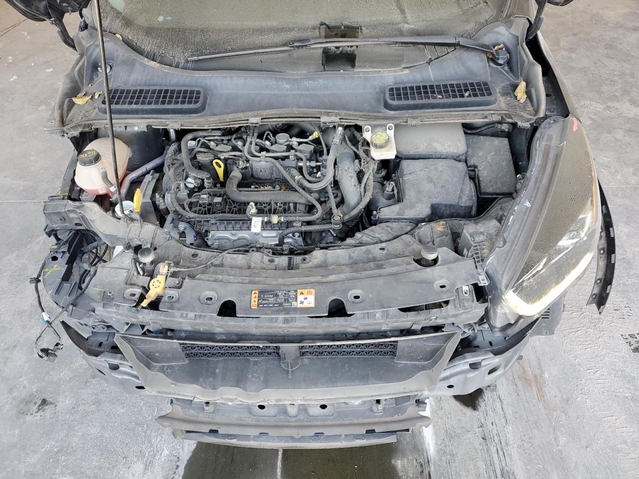 Ford Escape Se Image 11