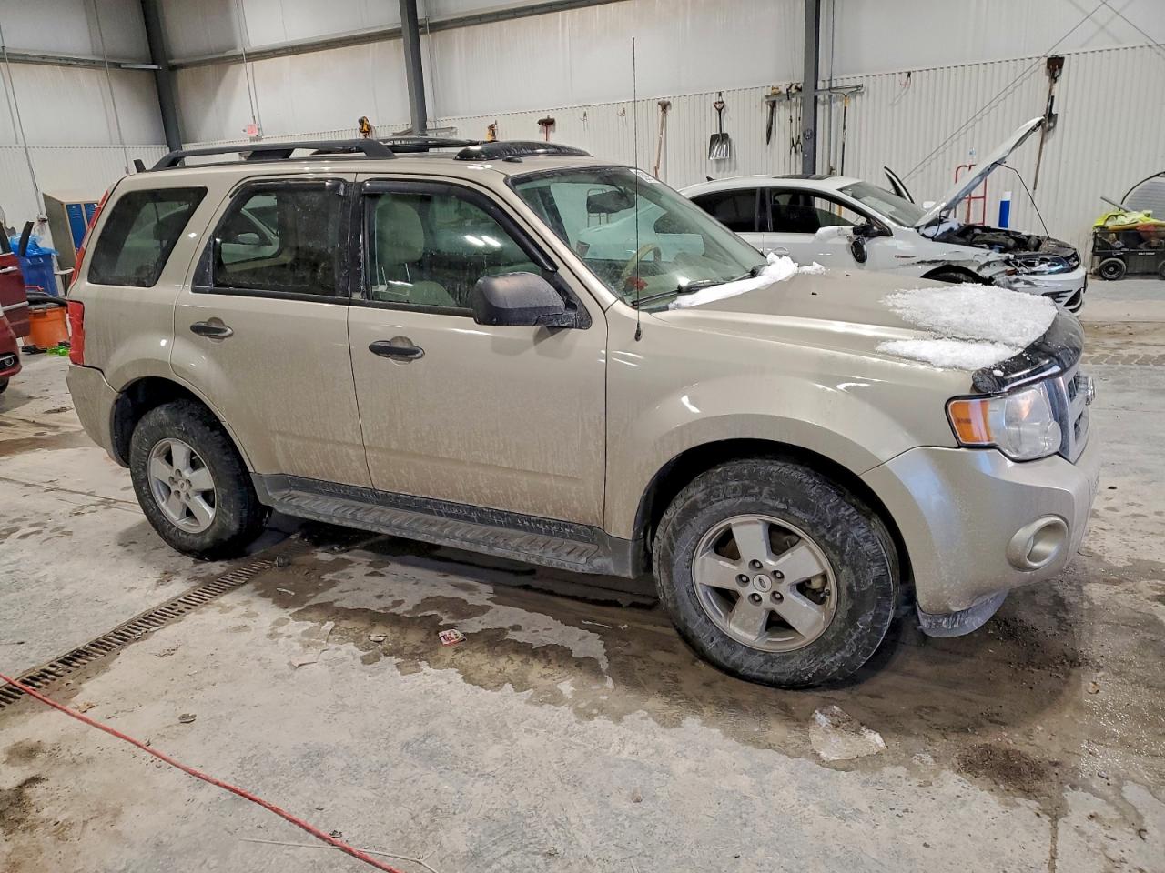 Ford Escape Xlt Image 8