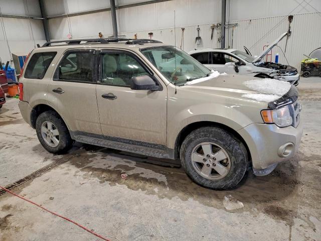 Ford Escape Xlt Image 8