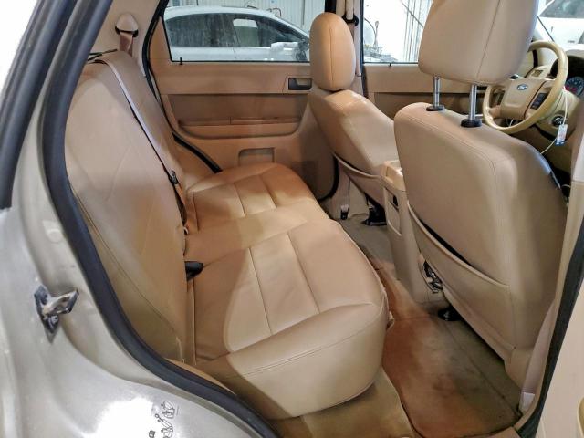 Ford Escape Xlt Image 3