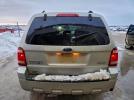 Ford Escape Xlt Image 5