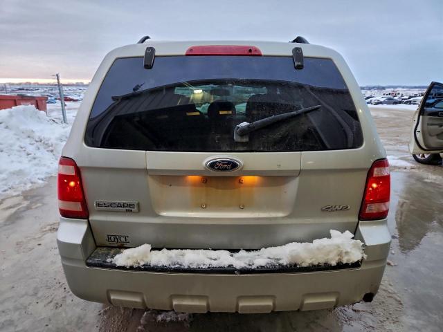 Ford Escape Xlt Image 5