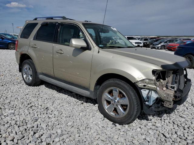 Ford Escape Limited Image 7