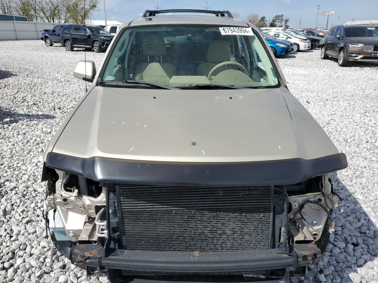 Ford Escape Limited Image 6