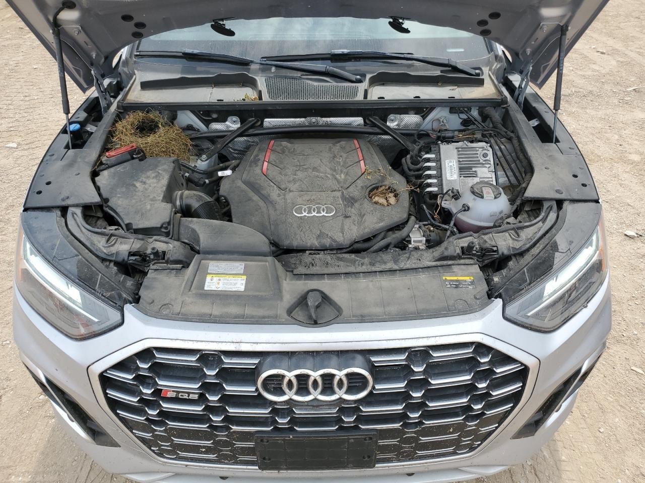 Audi Sq Premium Plus Image 13