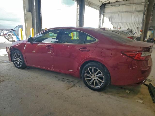 Lexus Es 300h Image 13