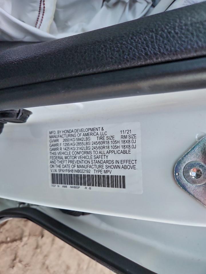 Honda Pilot Trailsport Image 3