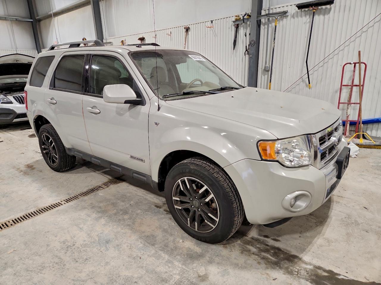 Ford Escape Limited Image 7