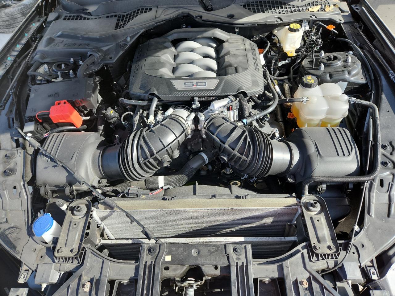 Ford Mustang Gt Image 7