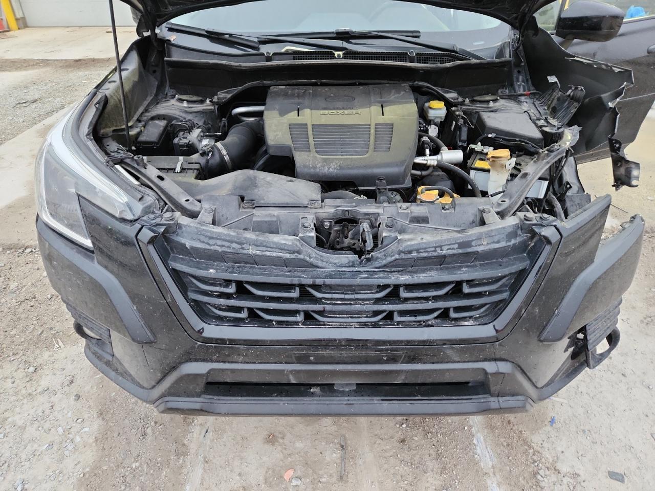 Subaru Forester Premium Image 10