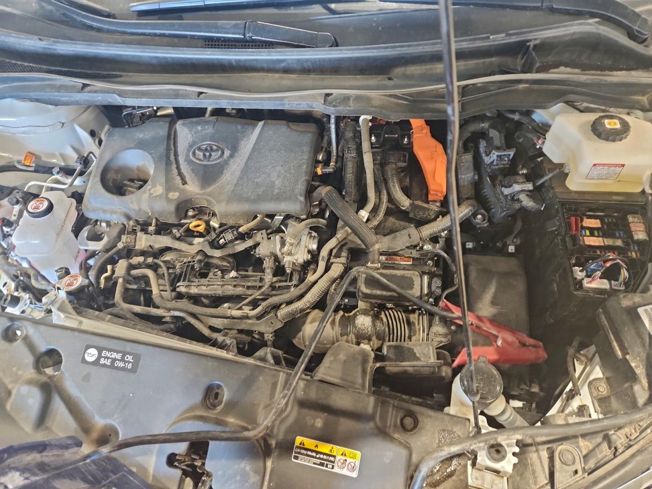 Toyota Sienna Xle Image 9