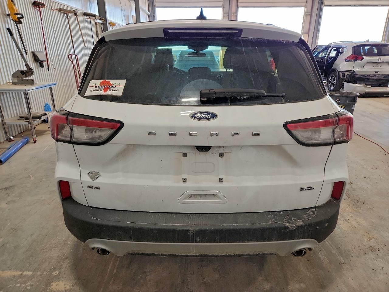 Ford Escape Se Sport Image 8