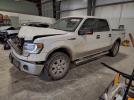 Ford F-150 Supercrew Image 1