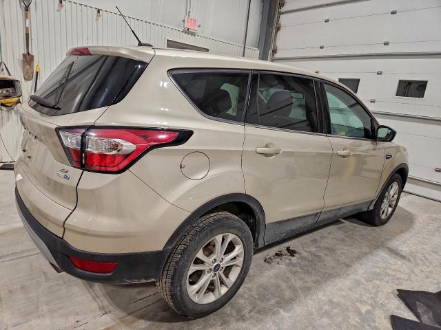 Ford Escape Se Image 7