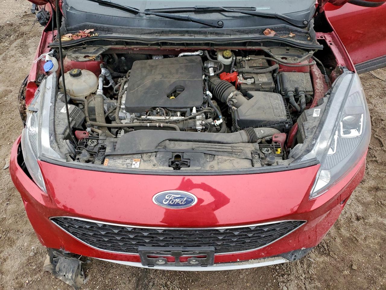 Ford Escape Se Image 11