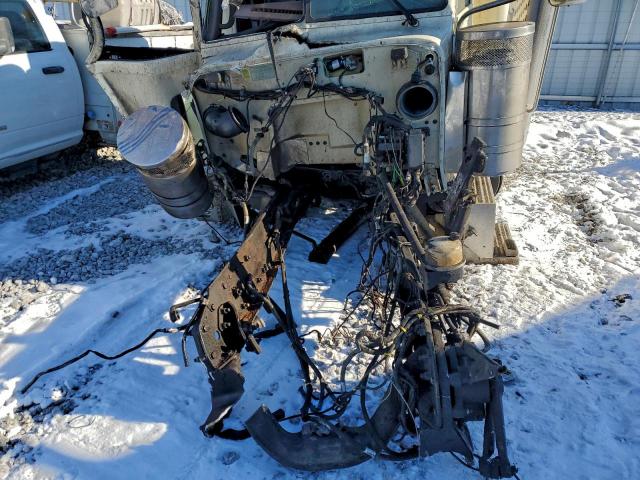 Peterbilt 389 Image 4