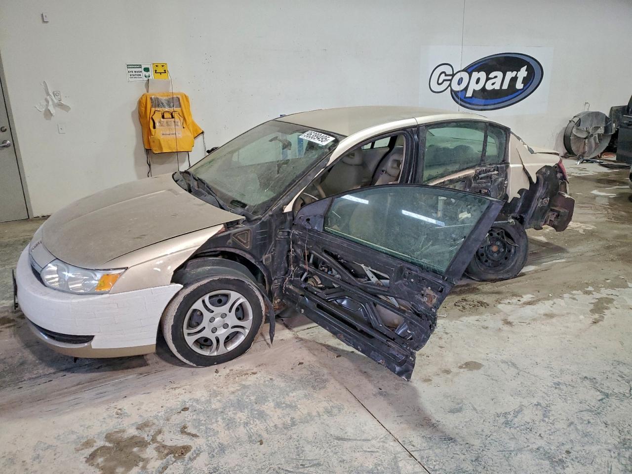 Saturn Ion Level 2 Image 1