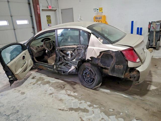 Saturn Ion Level 2 Image 3
