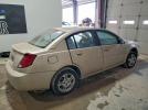 Saturn Ion Level 2 Image 5