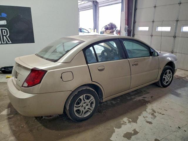 Saturn Ion Level 2 Image 5