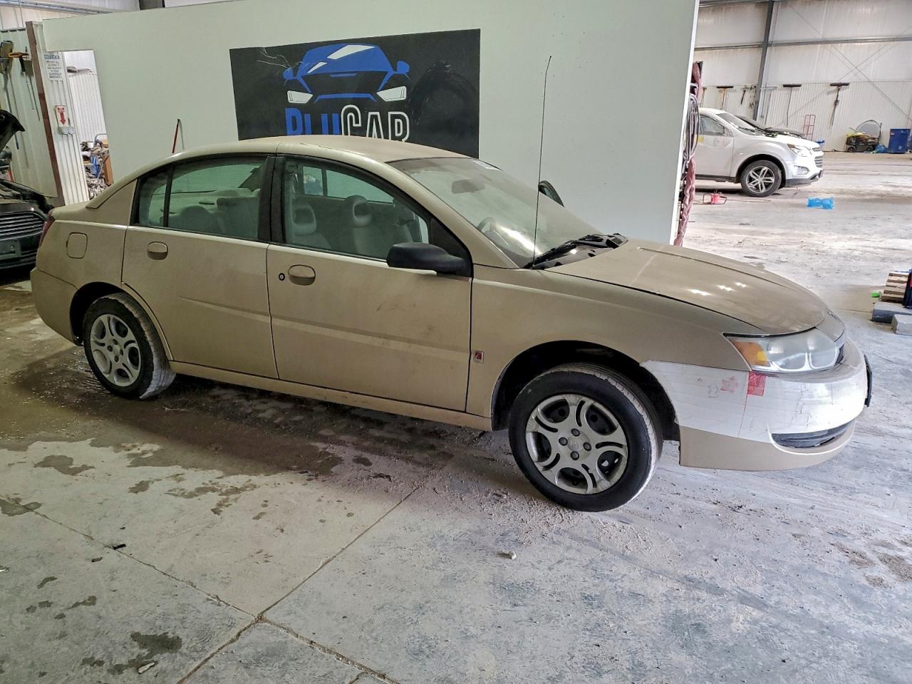 Saturn Ion Level 2 Image 4