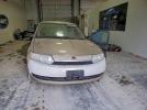 Saturn Ion Level 2 Image 7