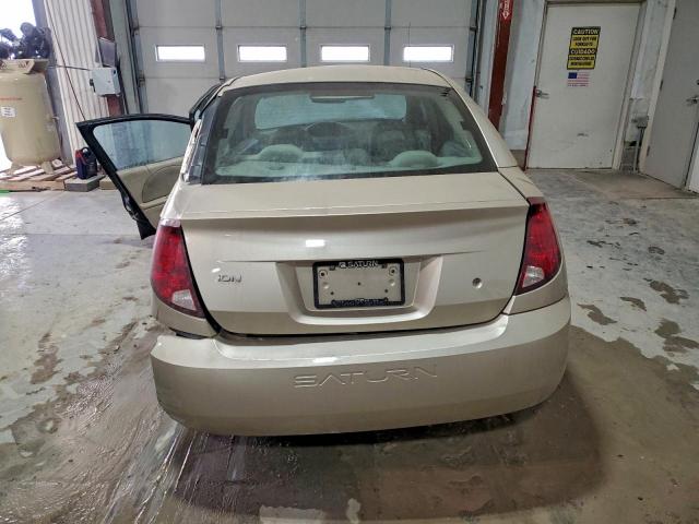 Saturn Ion Level 2 Image 6