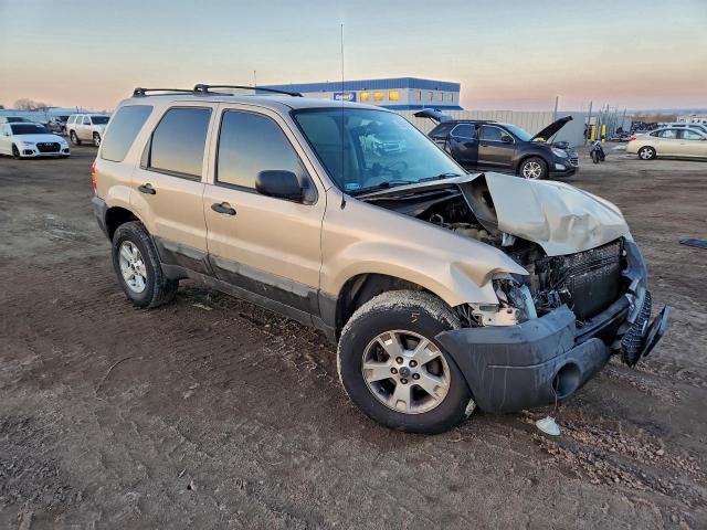 Ford Escape Xlt Image 5