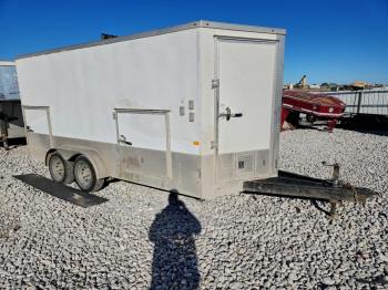  Salvage Peach Cargo Other